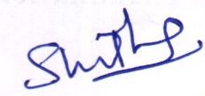 Signature preview