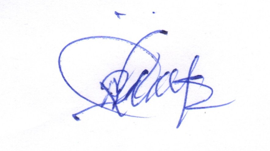 Signature preview