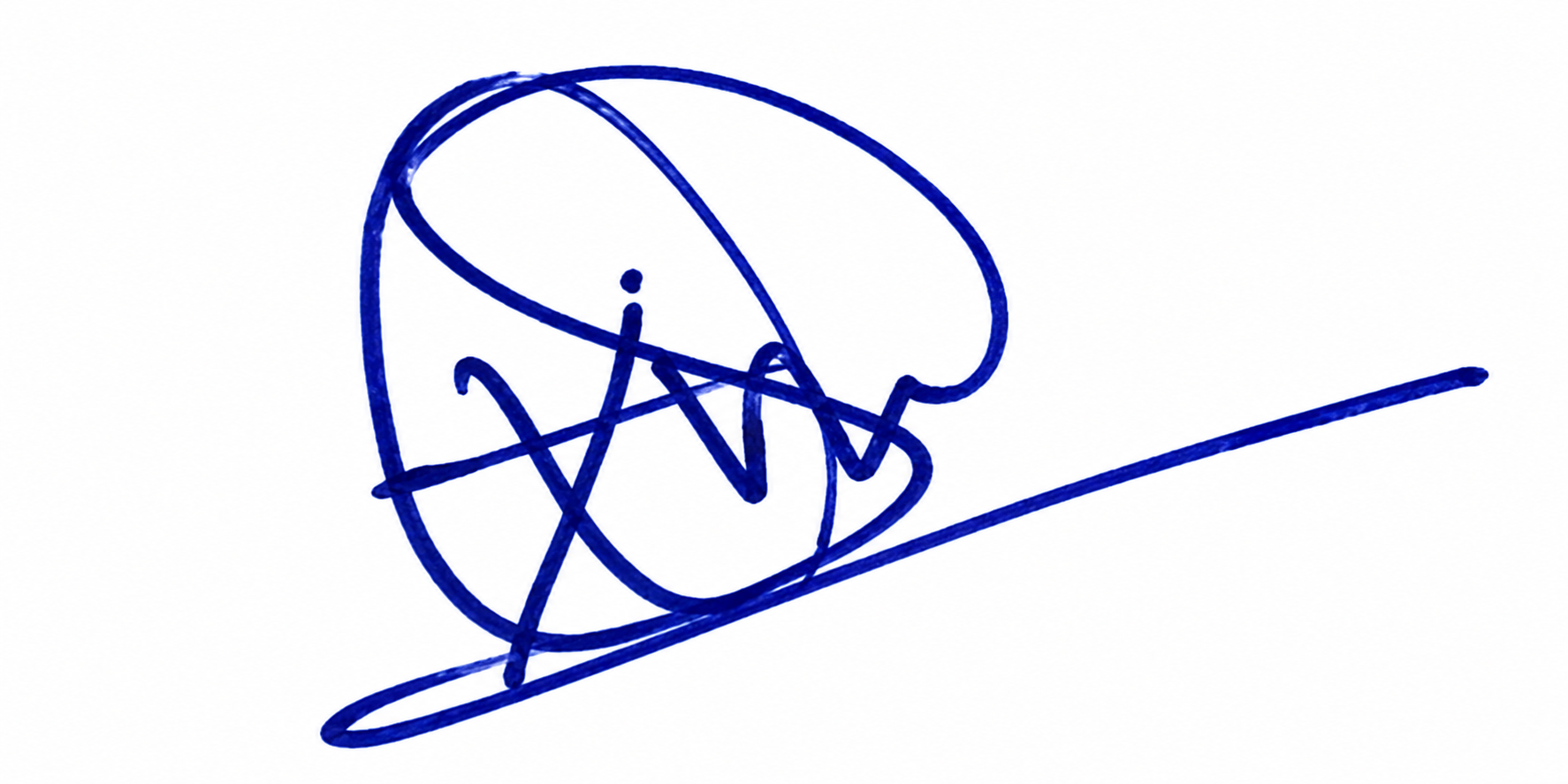 Signature preview