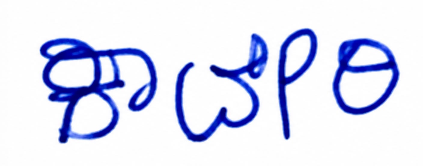 Signature preview