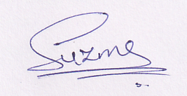 Signature preview