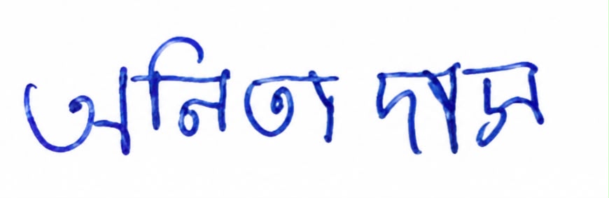 Signature preview