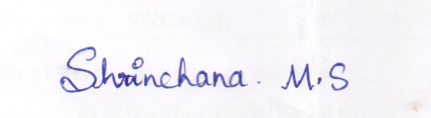 Signature preview