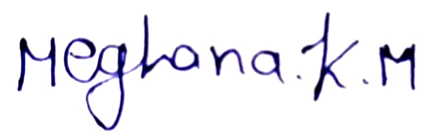 Signature preview