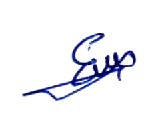 Signature preview