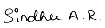 Signature preview