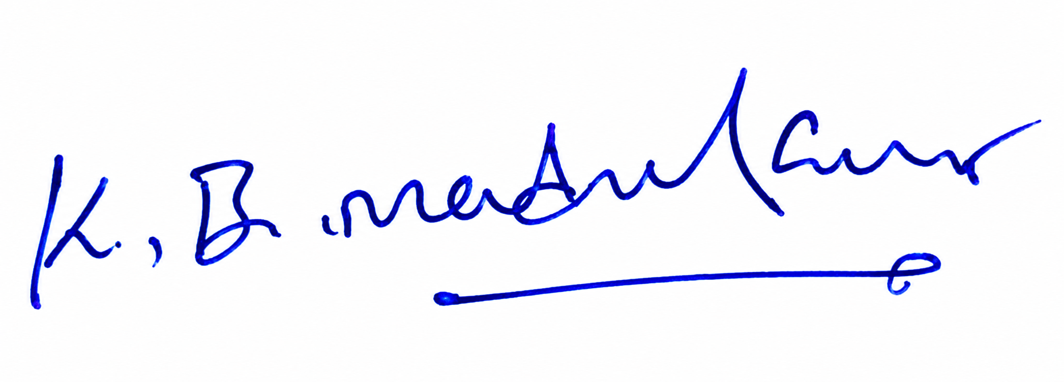 Signature preview