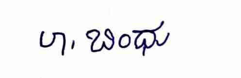 Signature preview