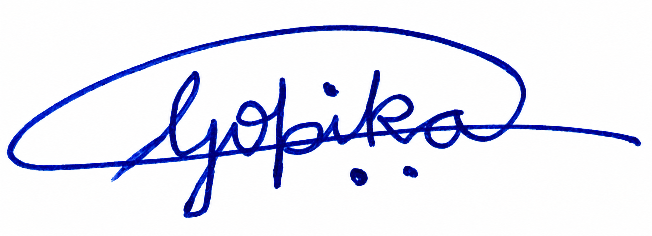 Signature preview