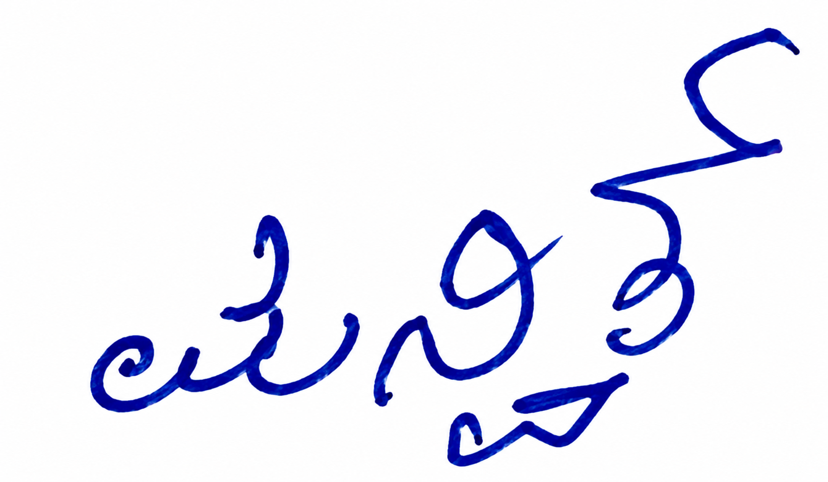 Signature preview