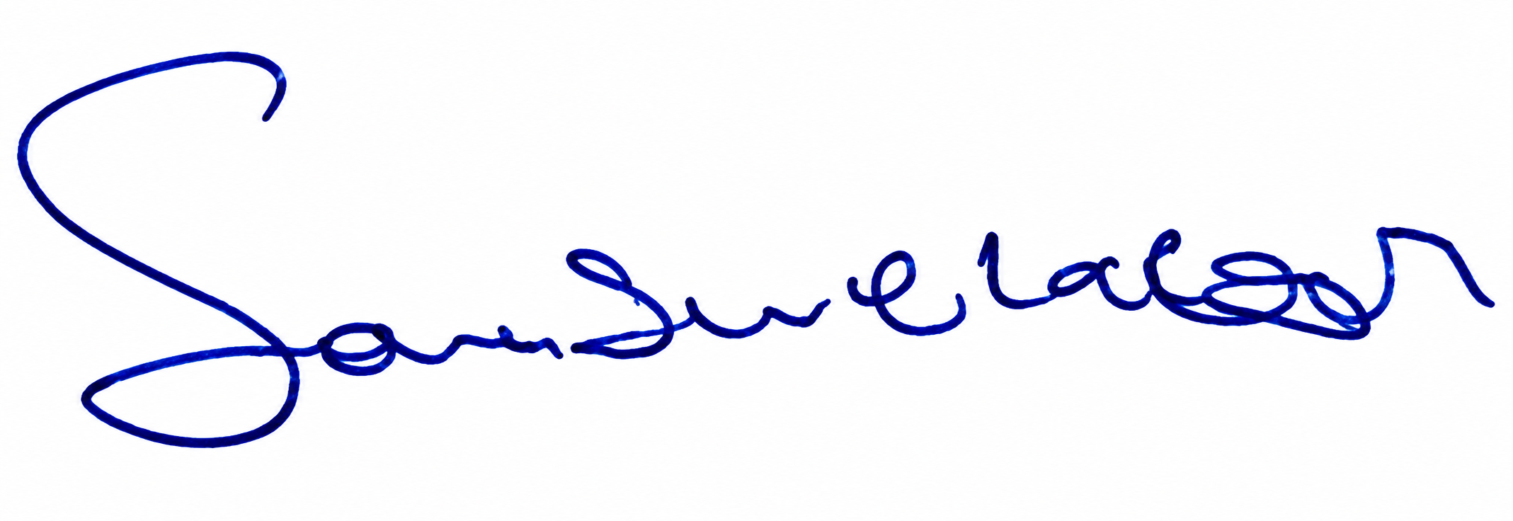 Signature preview