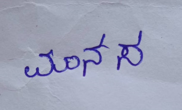 Signature preview