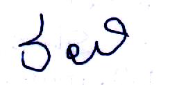 Signature preview