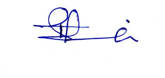 Signature preview