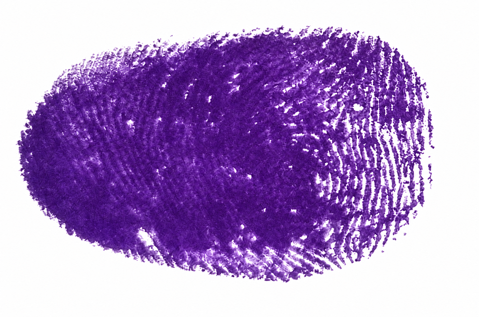 Signature preview