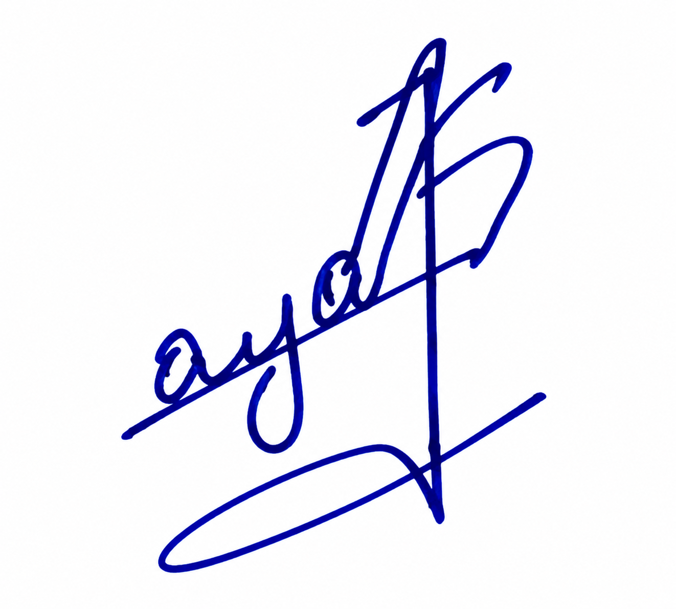 Signature preview