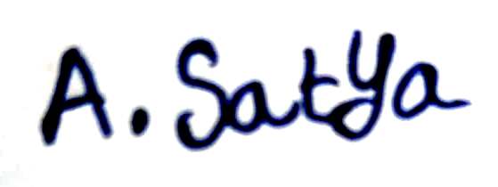 Signature preview