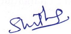 Signature preview