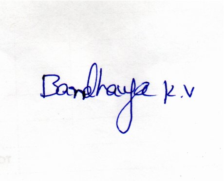 Signature preview