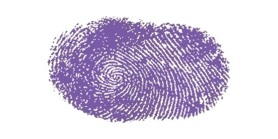 Signature preview