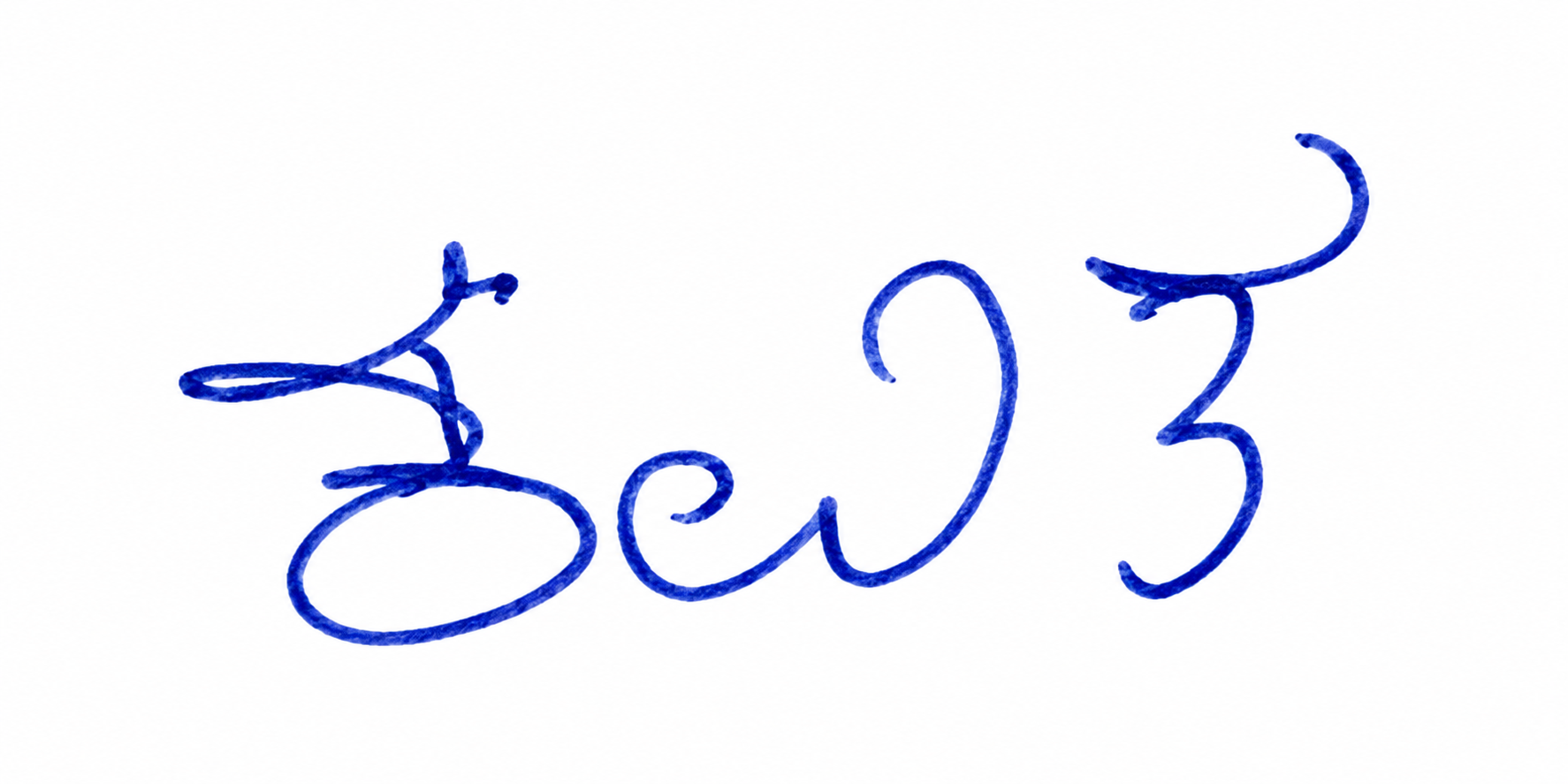 Signature preview