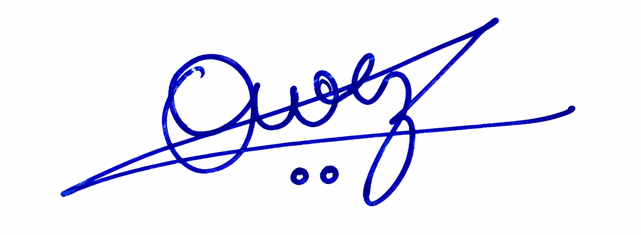 Signature preview