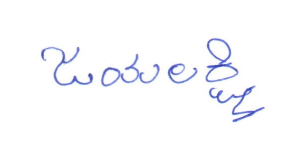 Signature preview