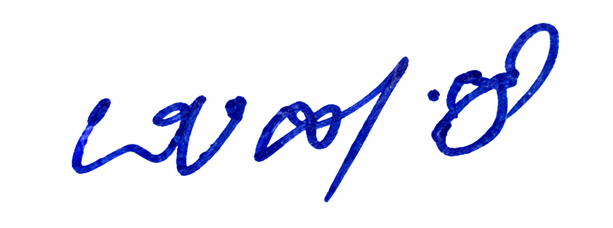 Signature preview