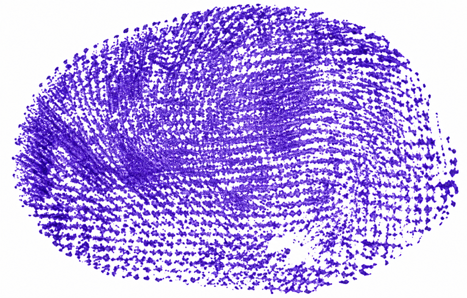 Signature preview