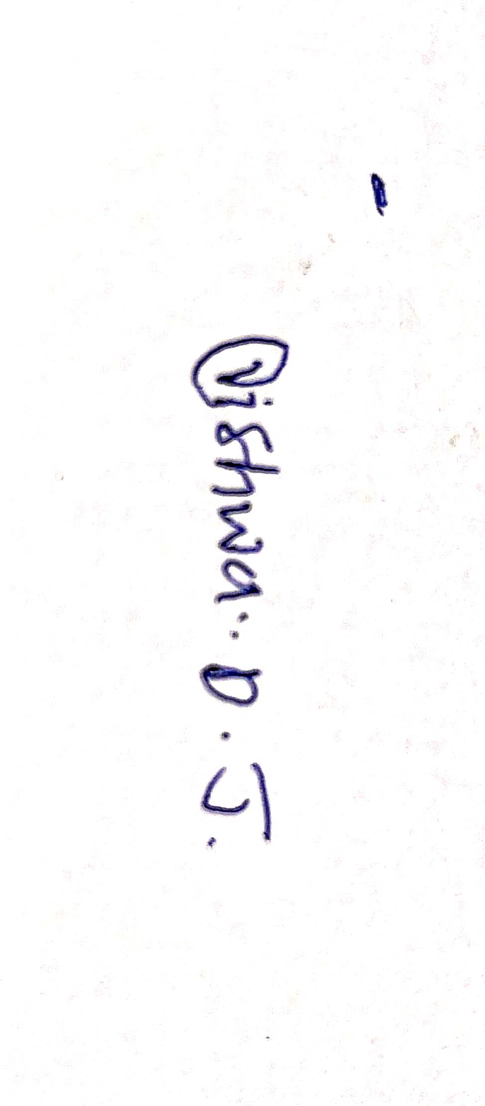 Signature preview