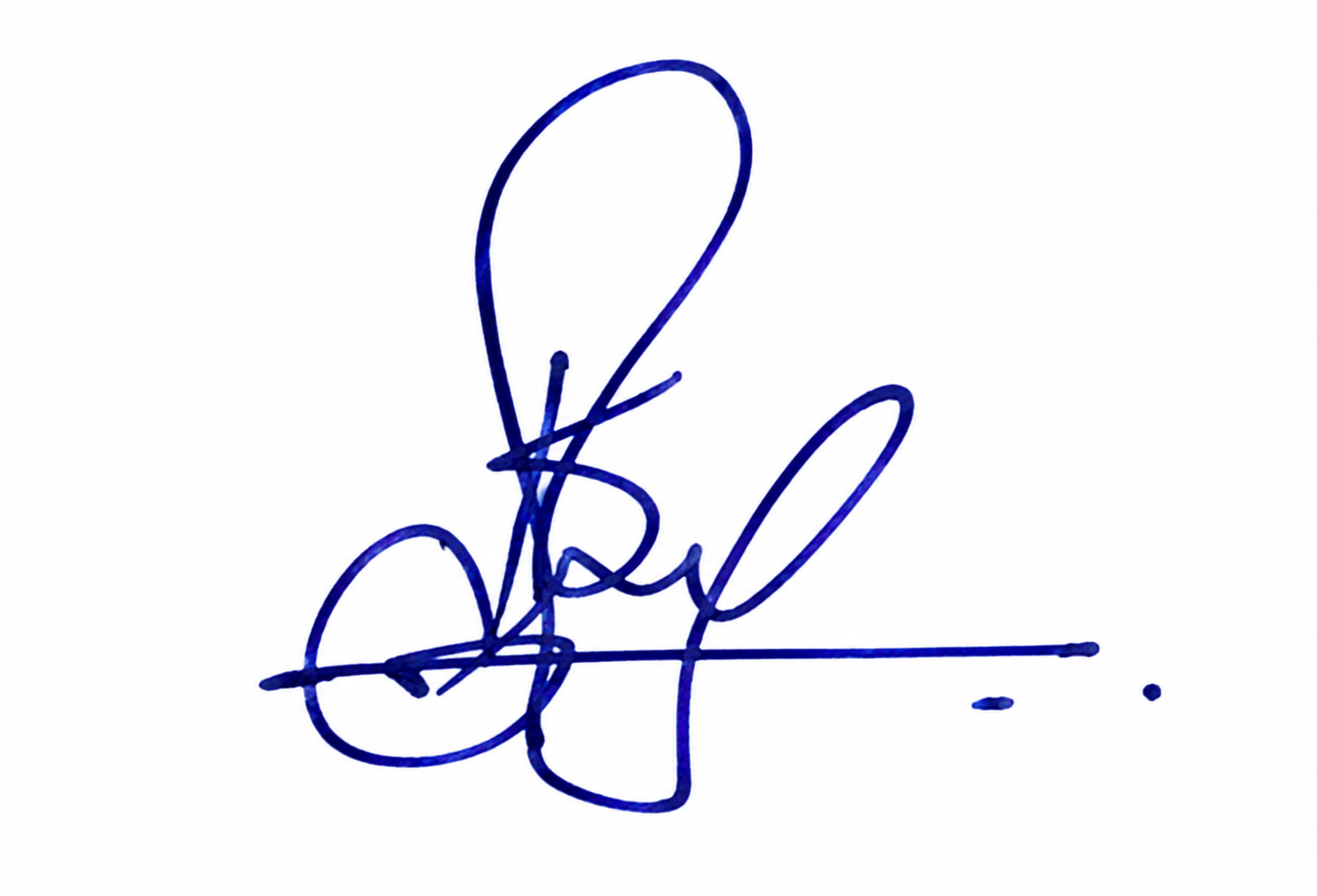Signature preview