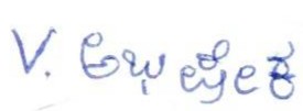 Signature preview