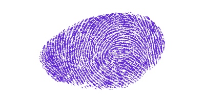 Signature preview