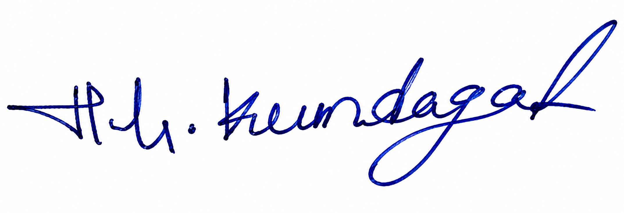 Signature preview