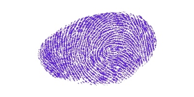 Signature preview