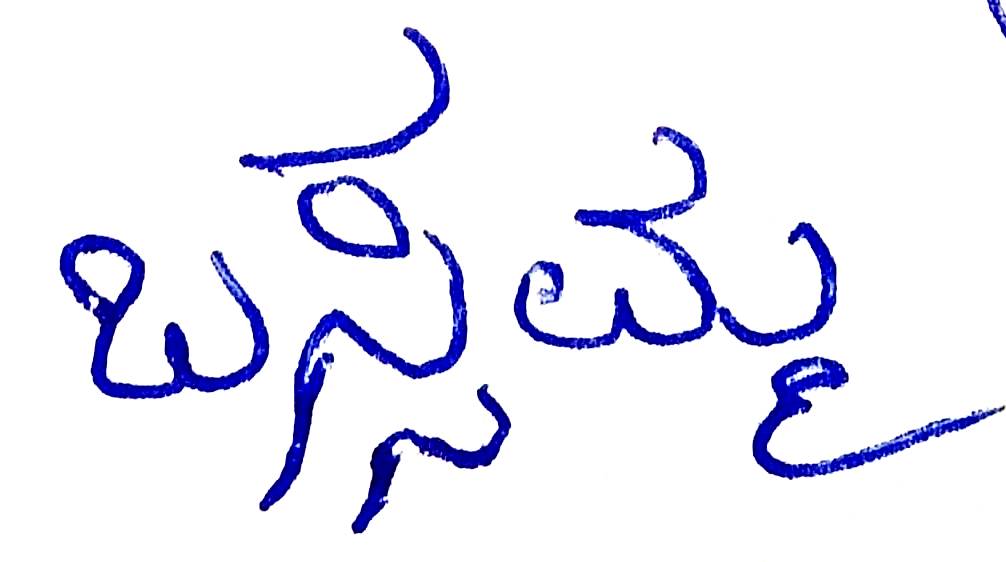 Signature preview