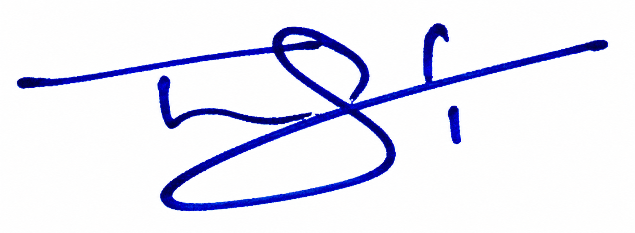 Signature preview