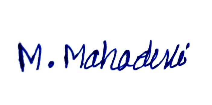 Signature preview