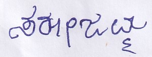 Signature preview