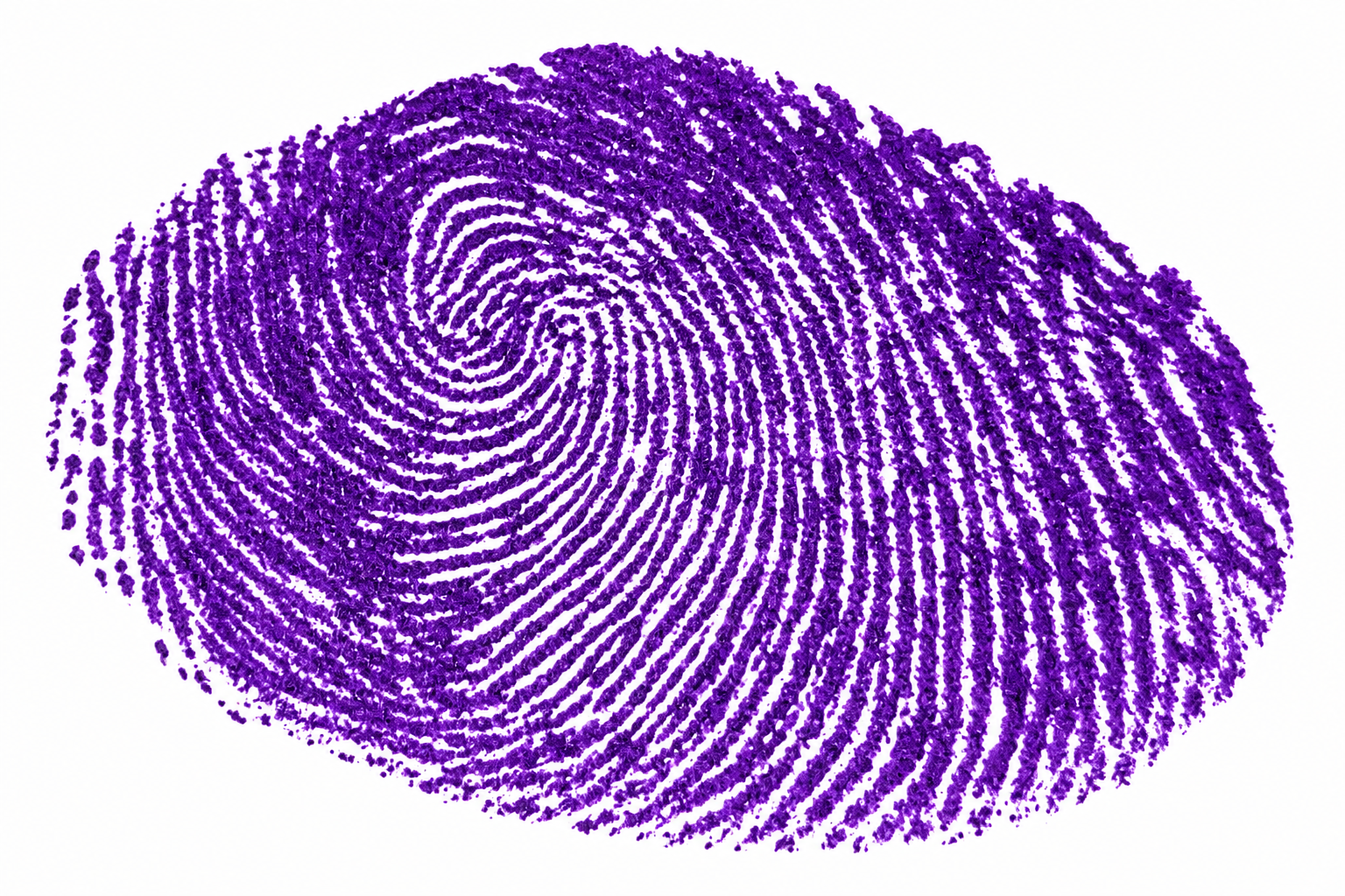 Signature preview