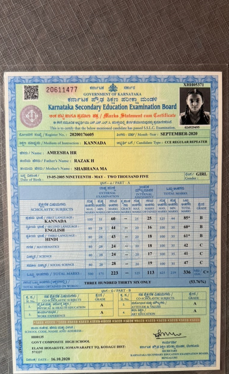 Matriculation certificate or mark sheet of recognised board (In Copy) preview