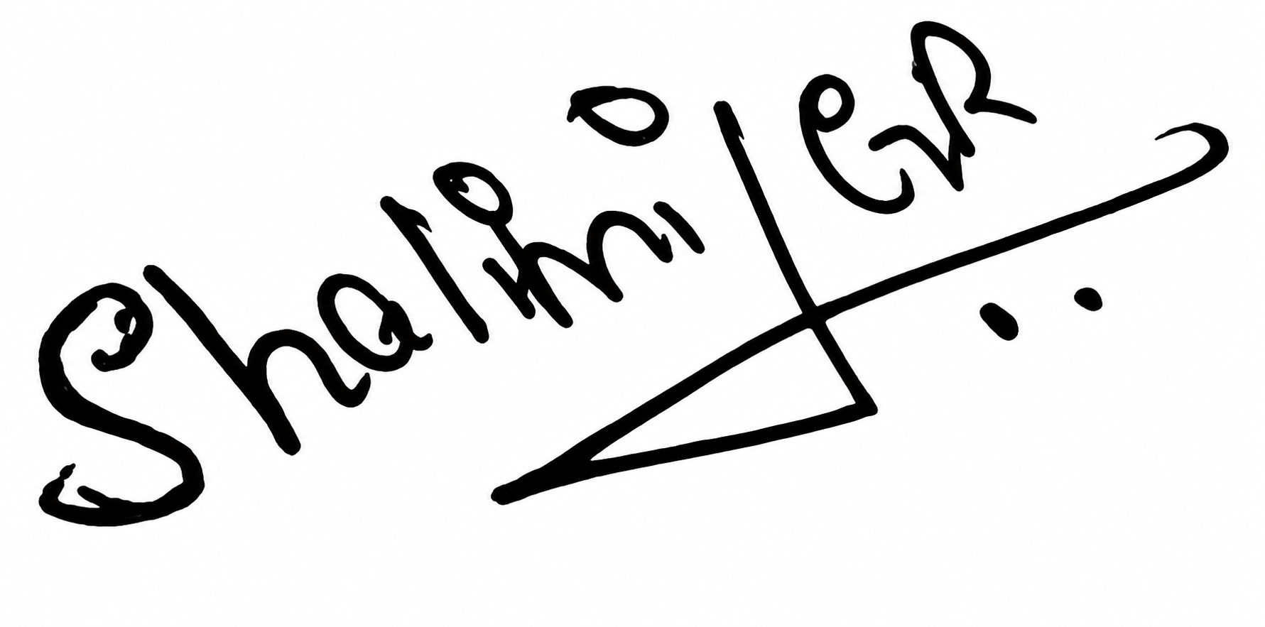 Signature preview