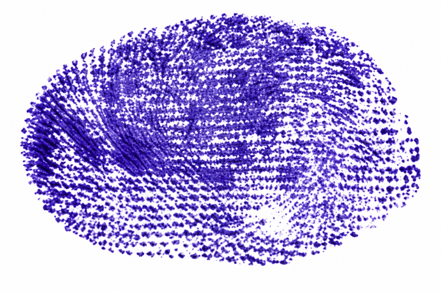 Signature preview