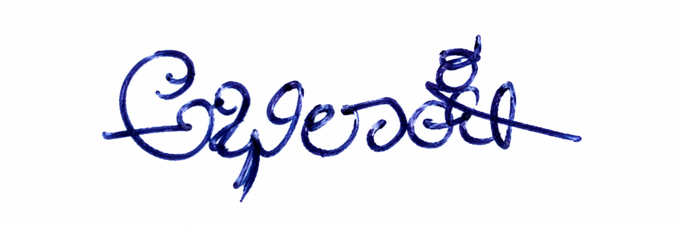 Signature preview