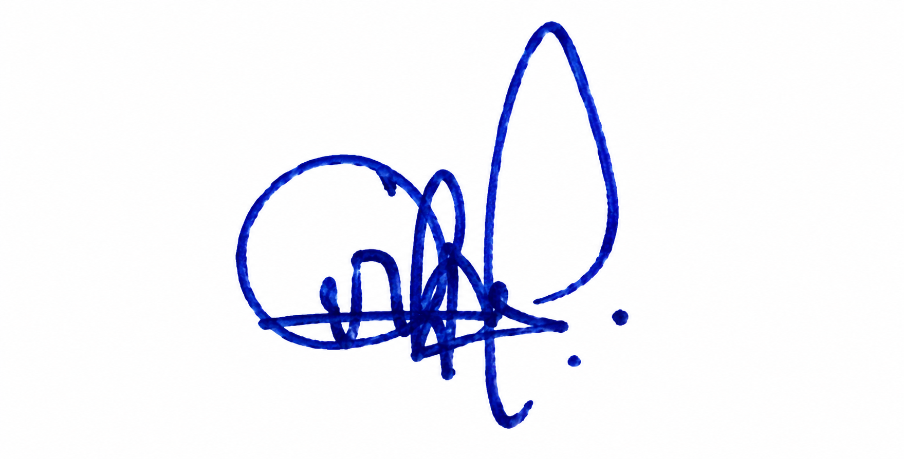 Signature preview