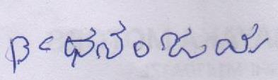 Signature preview