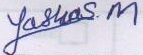 Signature preview
