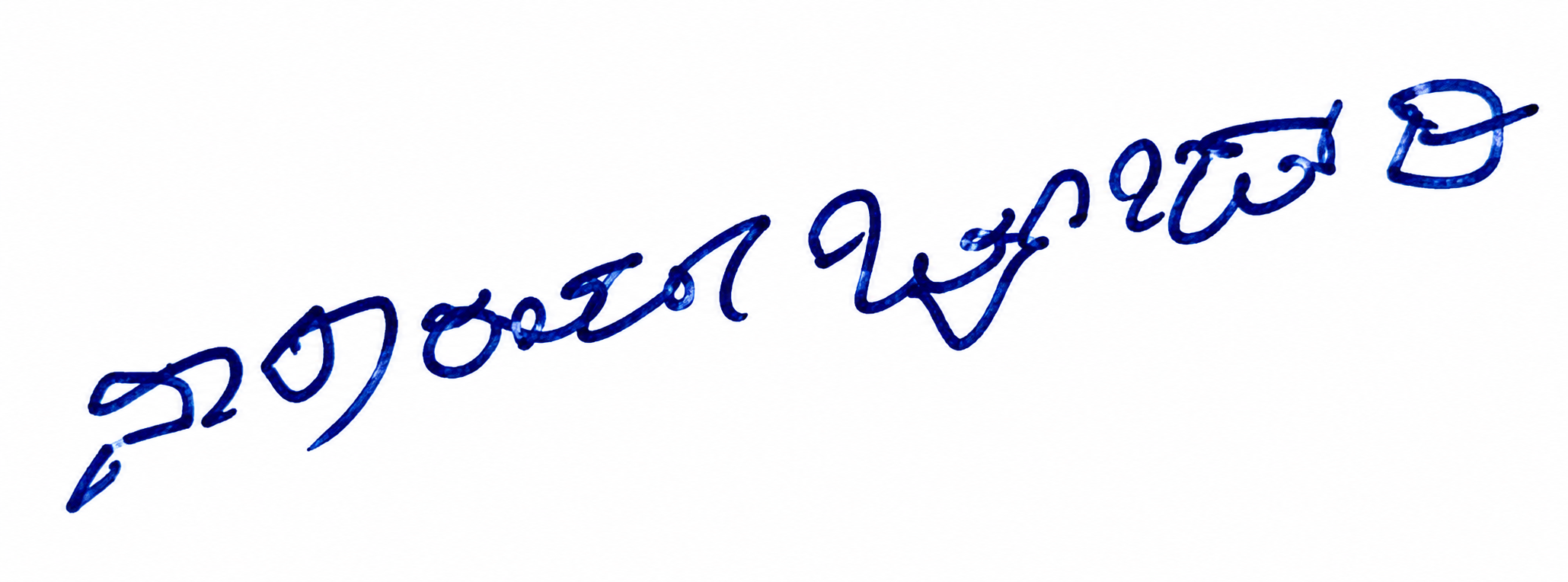 Signature preview