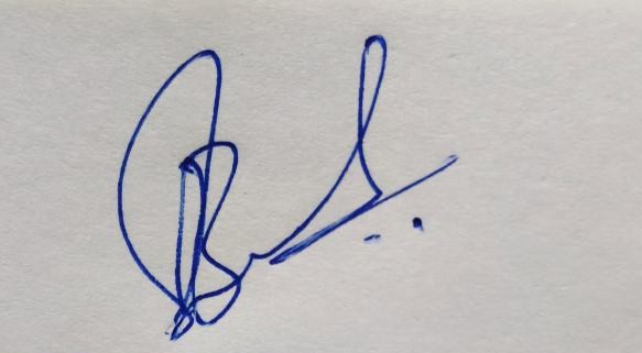 Signature preview