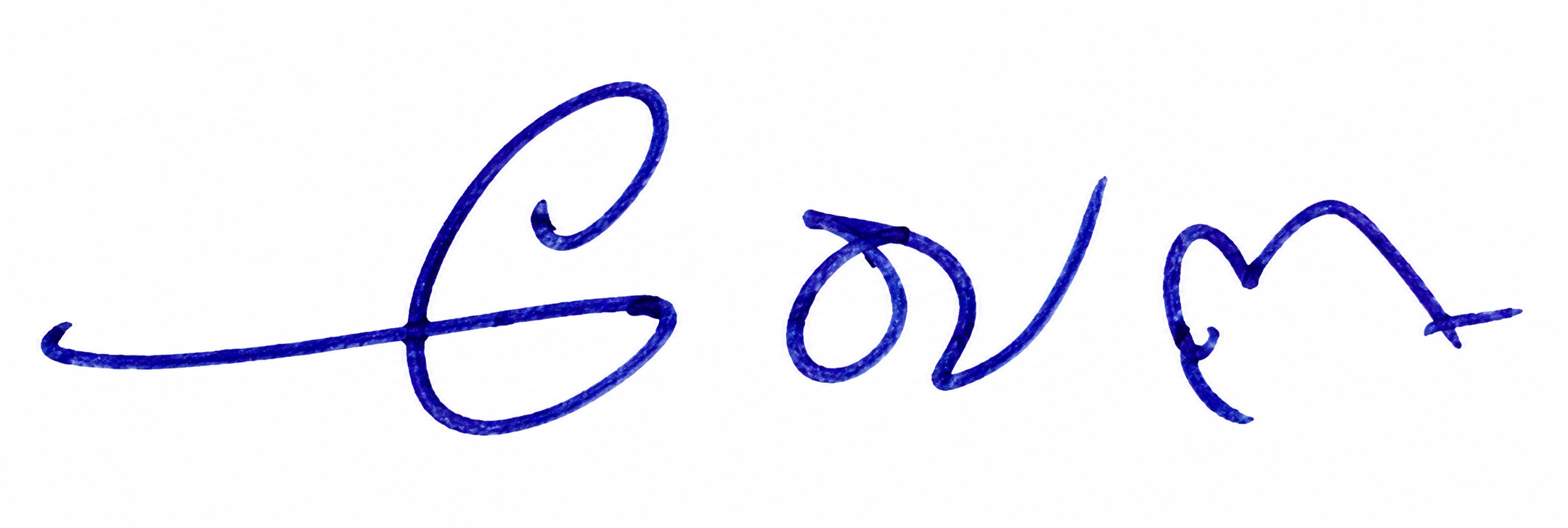Signature preview